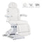 Dream In Reality Logan Medical Spa Bed DIR 8246EBYH