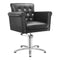 Dream In Reality Lion Salon Chair DIR 1852