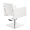 Dream In Reality Scatolina Modern Salon Chair DIR 1288