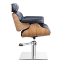 Dream In Reality D’Eames Salon Chair DIR 1660