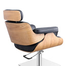 Dream In Reality D’Eames Salon Chair DIR 1660