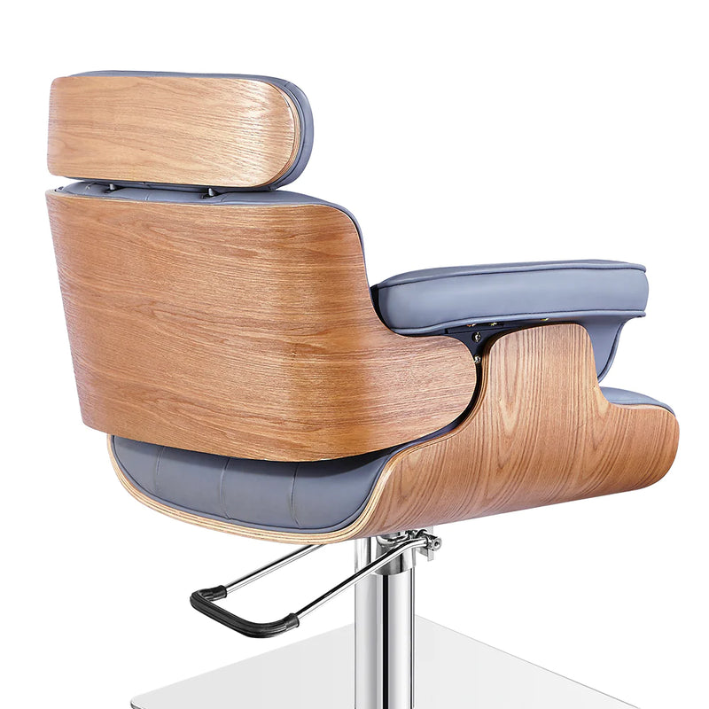 Dream In Reality D’Eames Salon Chair DIR 1660