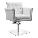 Dream In Reality Lion Salon Chair DIR 1852