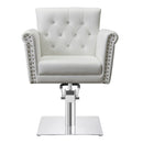 Dream In Reality Lion Salon Chair DIR 1852