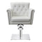 Dream In Reality Lion Salon Chair DIR 1852