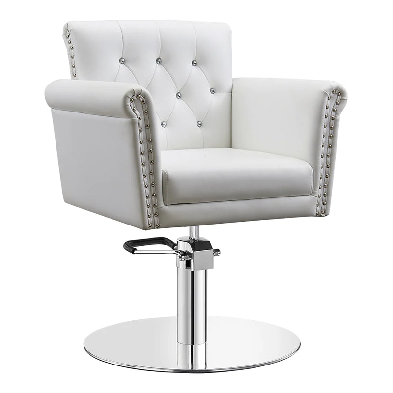 Dream In Reality Lion Salon Chair DIR 1852