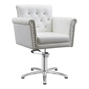 Dream In Reality Lion Salon Chair DIR 1852