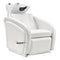 Dream In Reality Anode Shampoo Chair with Adjustable Leg DIR 7837