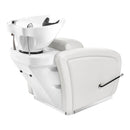 Dream In Reality Anode Shampoo Chair with Adjustable Leg DIR 7837