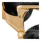 Dream In Reality Princeton Barber Chair - Gold DIR 2726