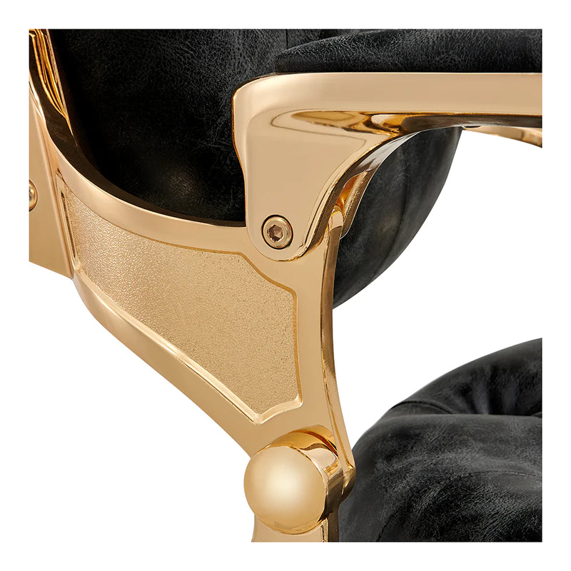 Dream In Reality Princeton Barber Chair - Gold DIR 2726