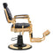 Dream In Reality Princeton Barber Chair - Gold DIR 2726
